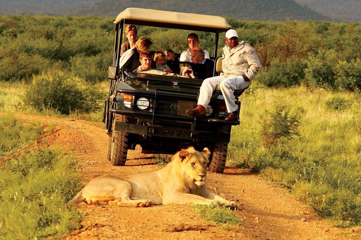 Madikwe Game Reserve Day Tour (Minimum per booking: 5 People)