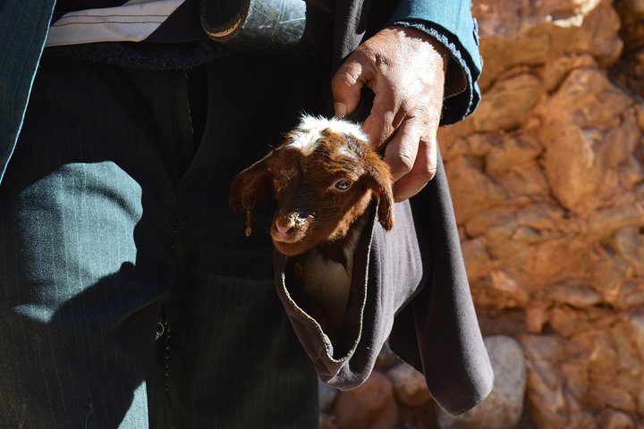 Hiking Valley of Roses and Dades Morocco