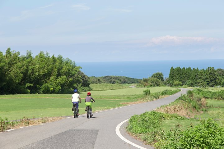 Downhill Biking