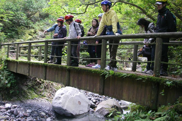 Downhill Biking