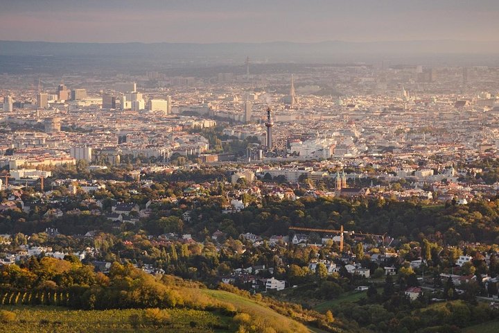 Transfer from Osijek to Vienna