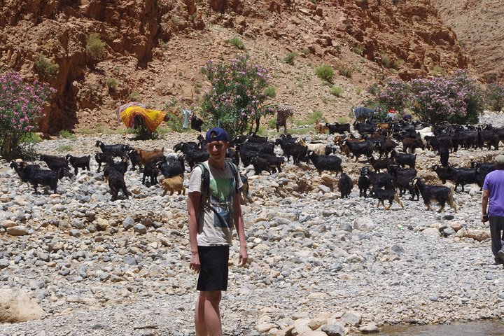 Hiking Valley of Roses and Dades Morocco