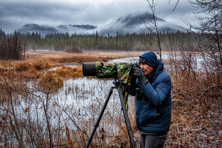 Focus on Haines Private Nature / Photography tour