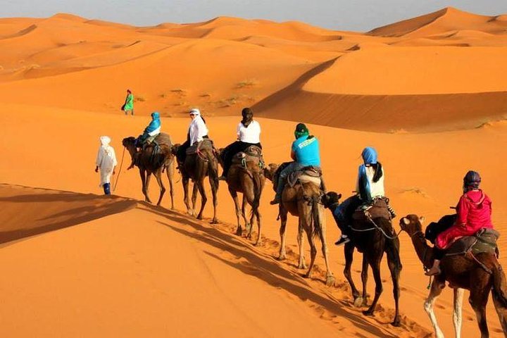 Explore Tangier: Cape Espartel, caves and camel ride.