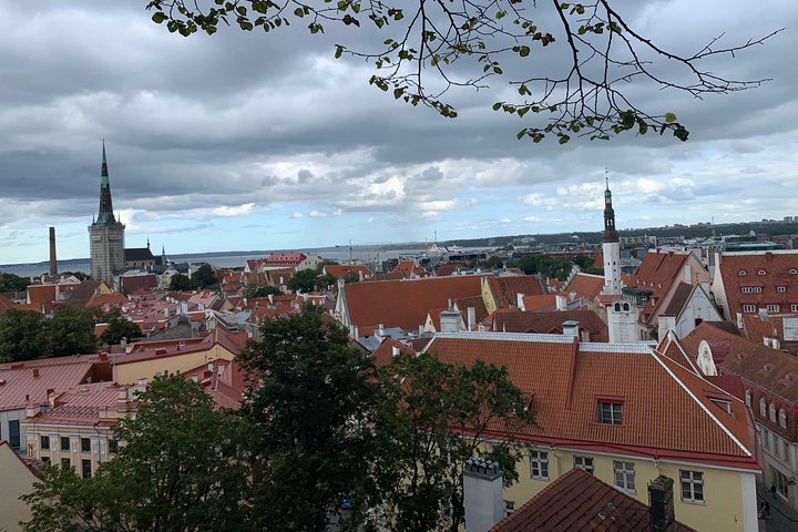 Helsinki to Tallinn Guided Tour -cruise ticket & pick up included