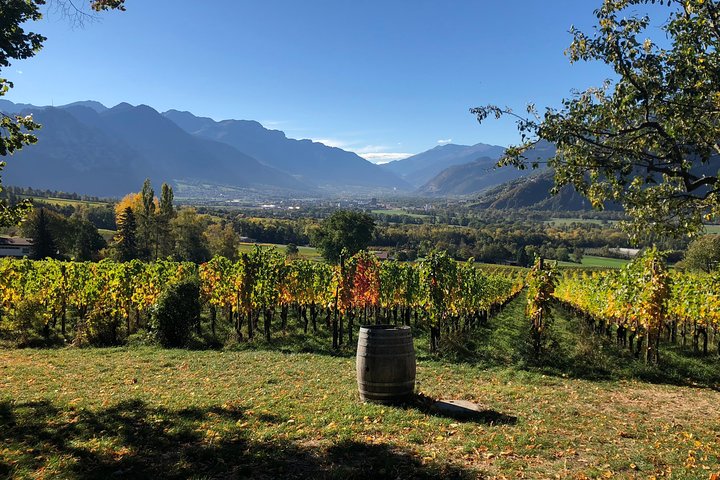 3 Hour Unique Wine Tour - Half Day in Swiss Alps