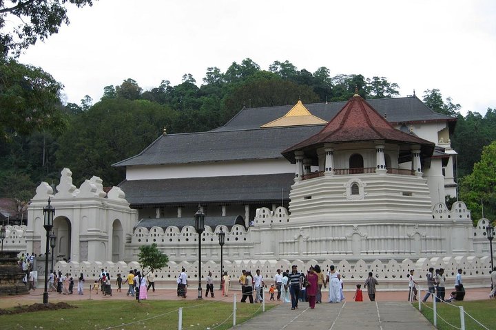 Kandy Heritage & Kingdom Discovery-All Inclusive Private Day Trip