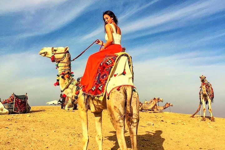 Private Tour to Giza Pyramids and sphinx from El Alamein