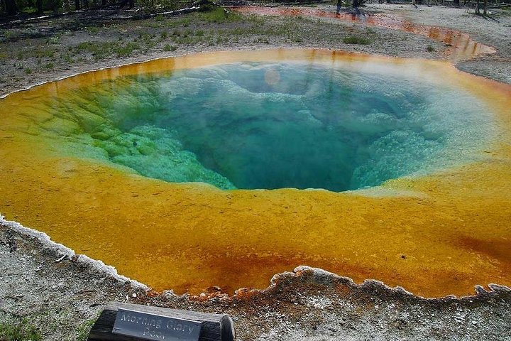 Private Yellowstone National Park Tour (Upper Loop)