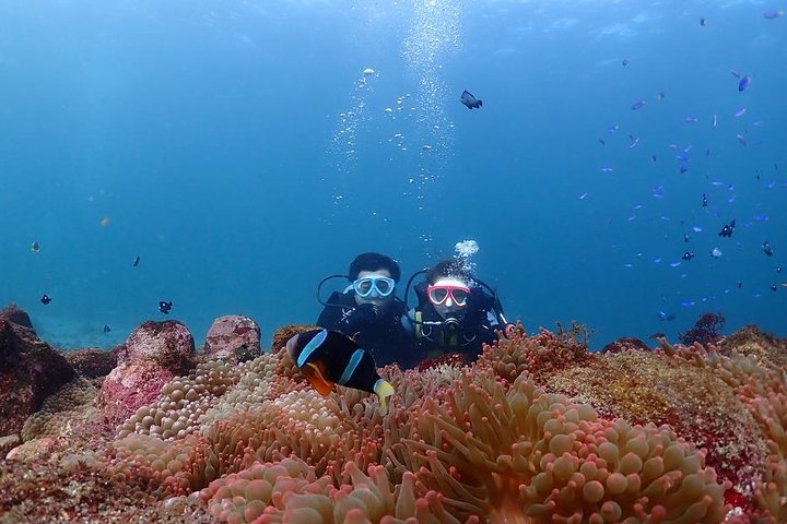 Scuba Diving (Fun Diving)