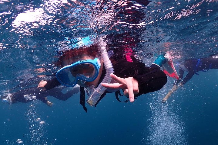 Scuba Diving (Fun Diving)