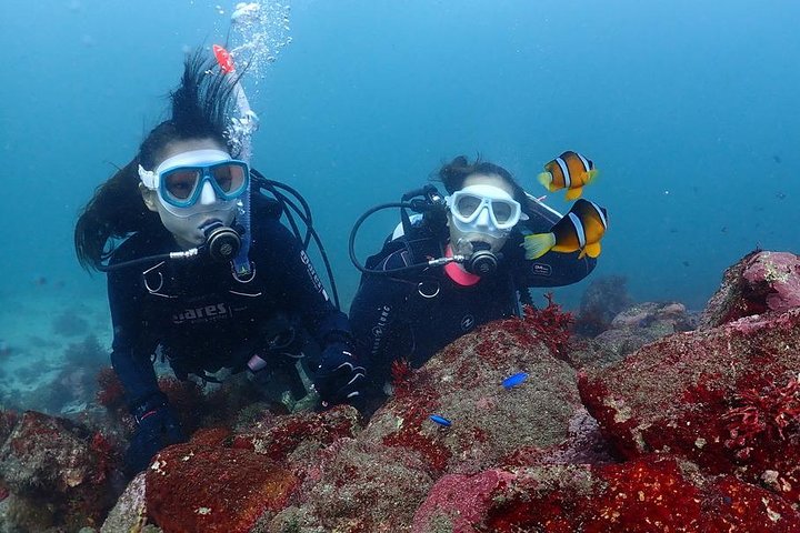 Scuba Diving (Fun Diving)