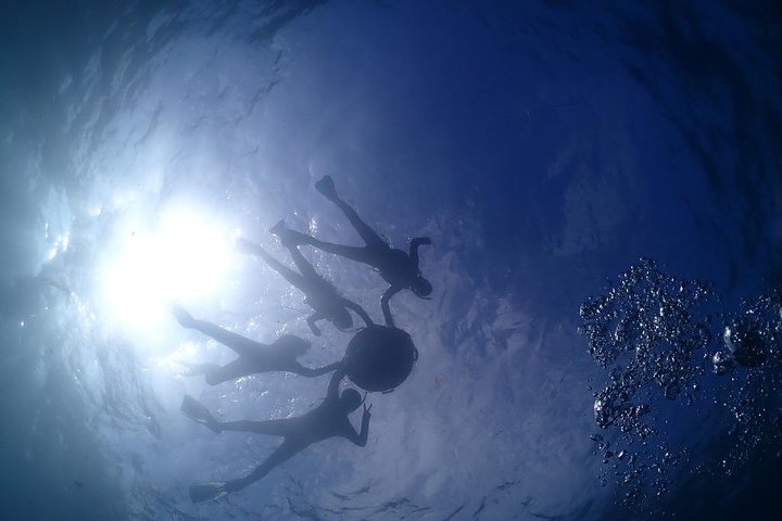 Scuba Diving (Fun Diving)