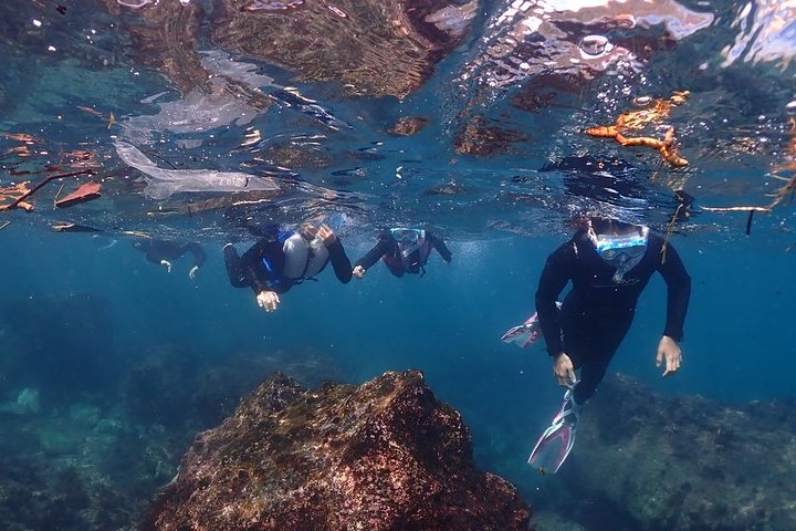 Scuba Diving (Fun Diving)