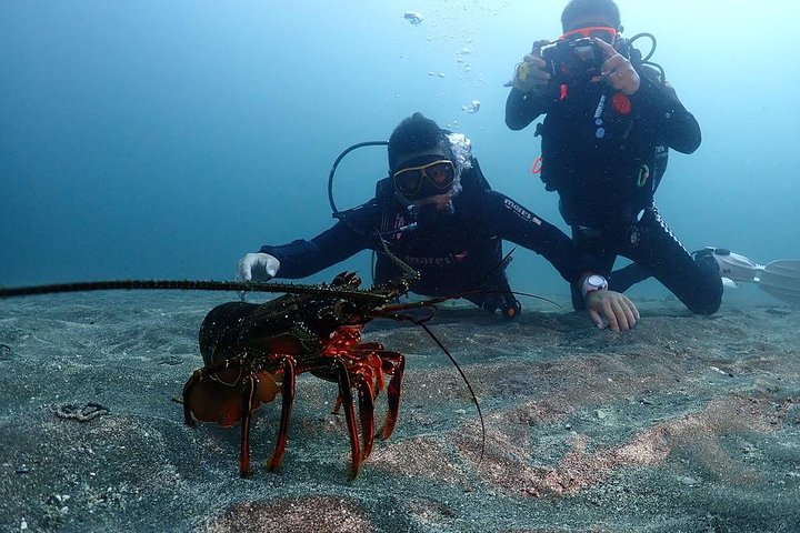Scuba Diving (Fun Diving)