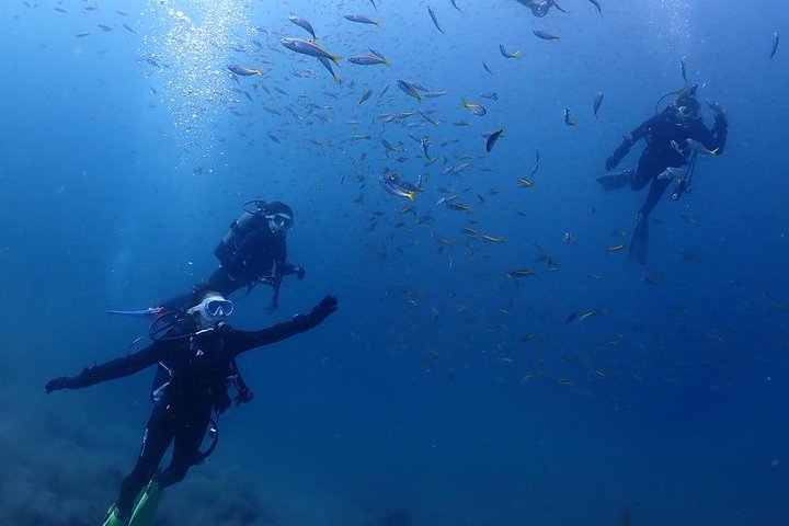 Scuba Diving (Fun Diving)