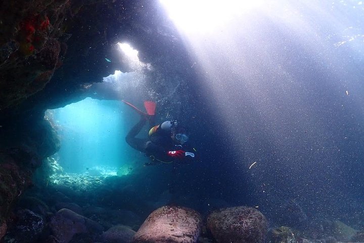 Scuba Diving (Fun Diving)