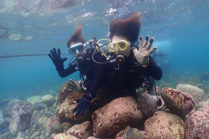 Scuba Diving (Fun Diving)