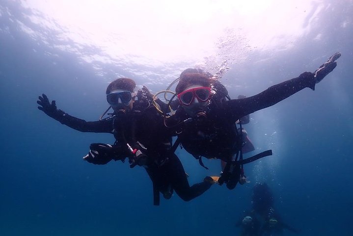 Scuba Diving (Fun Diving)