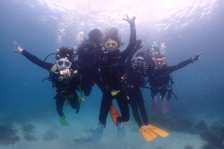 Scuba Diving (Fun Diving)