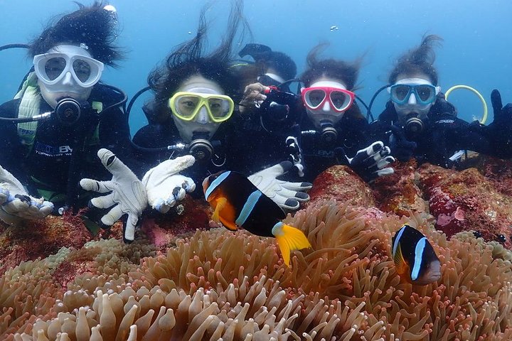 Scuba Diving (Fun Diving)