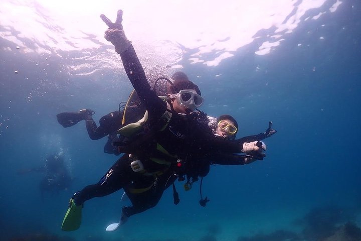 Scuba Diving (Fun Diving)