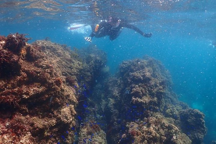 Scuba Diving (Fun Diving)