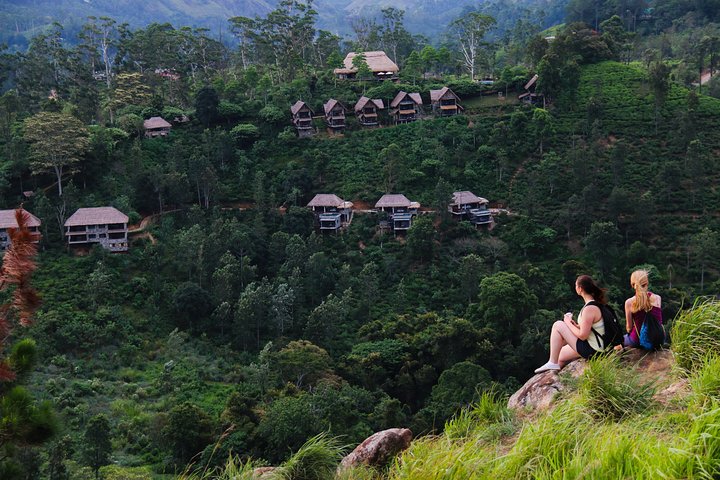 8 Days tour in Sri Lanka with privet driver and accommodations