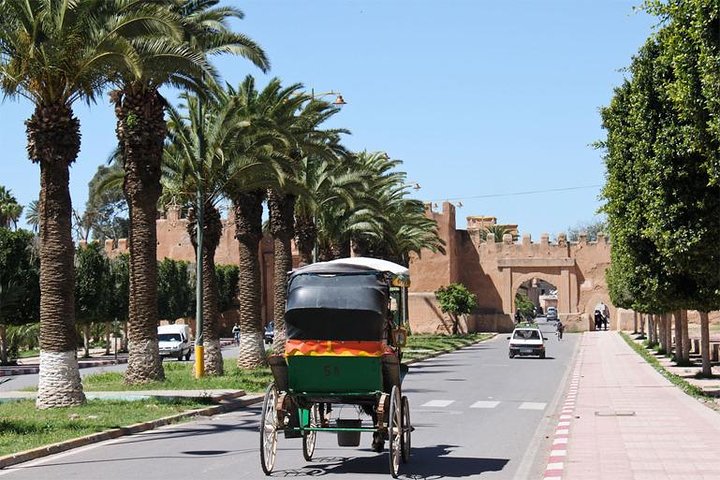 Marrakech day trip from Agadir guided full day trip