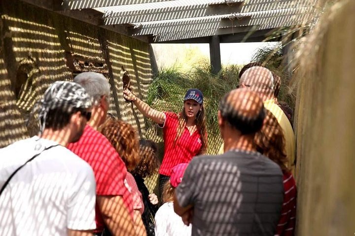 Full-Day Canadian Battlefields & sites Normandy Tour from Bayeux
