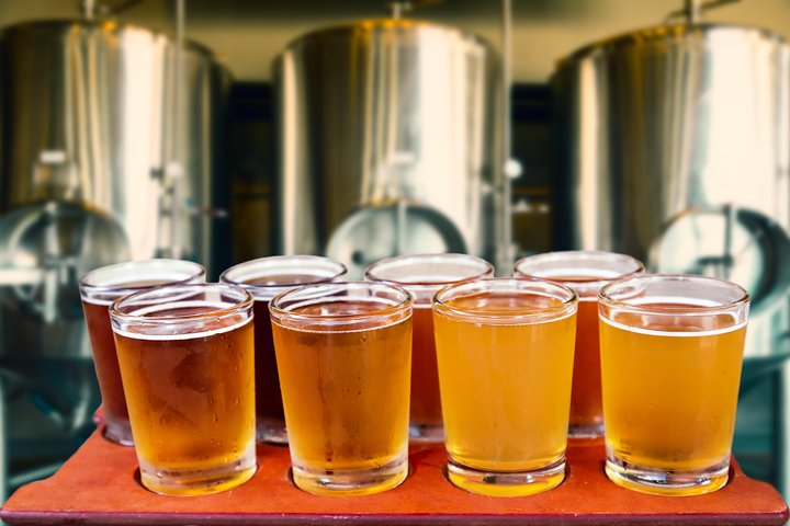 Torun Private Polish Beer Tasting Tour