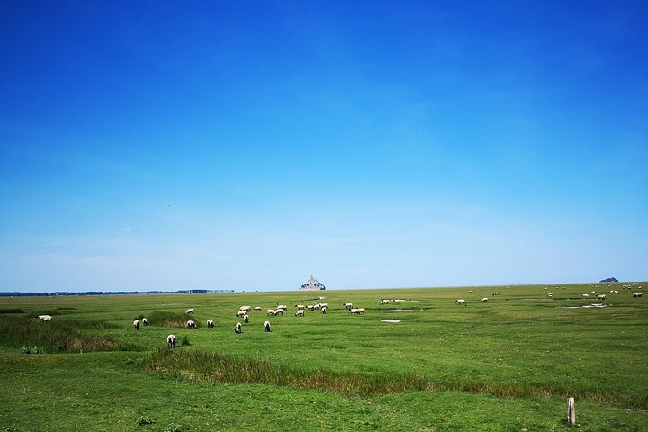 Mont Saint-Michel Day Trip from Bayeux (Shared tour)