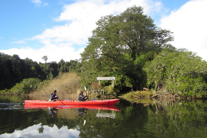 Kayak Laguna La Poza 1/2 day