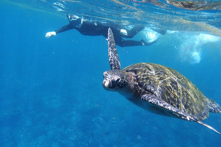 Day Tour to Santa Fe Island and Hidden Beach with snorkeling and fishing