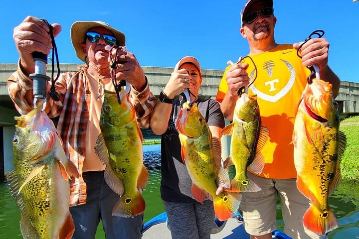 Private Peacock Bass Fishing Charter Near Boca Raton