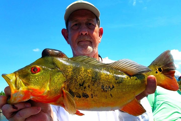 Private Peacock Bass Fishing Charter Near Boca Raton