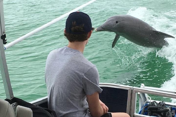 Shell Key & Dolphins - Semi-Private Tours