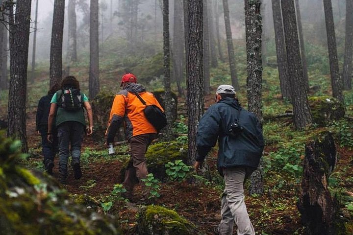 La Pirámide Park // WALK AND DISCOVER THE PARK
