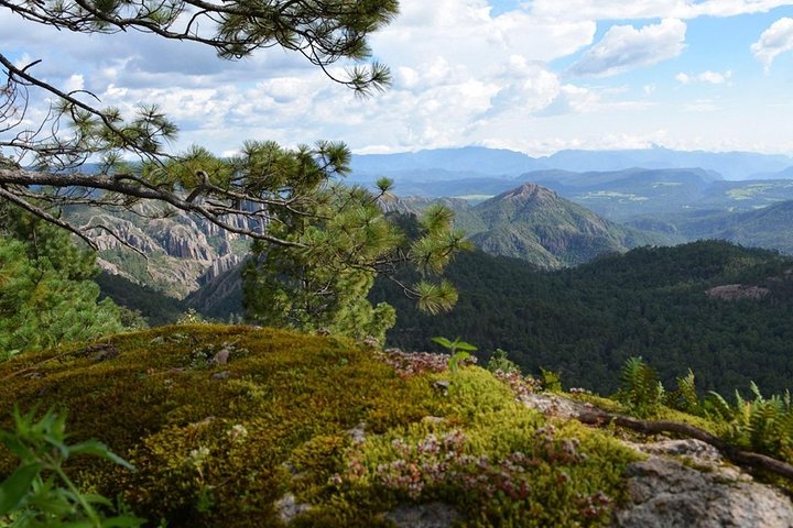 La Pirámide Park // WALK AND DISCOVER THE PARK