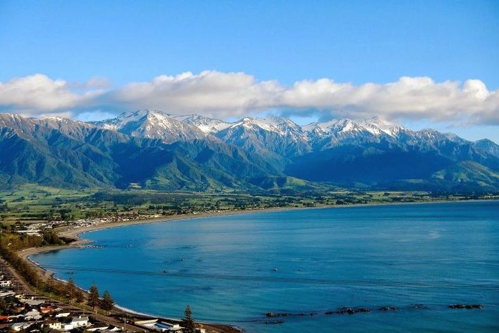 Kaikoura Swim with Dolphins Tour from Christchurch