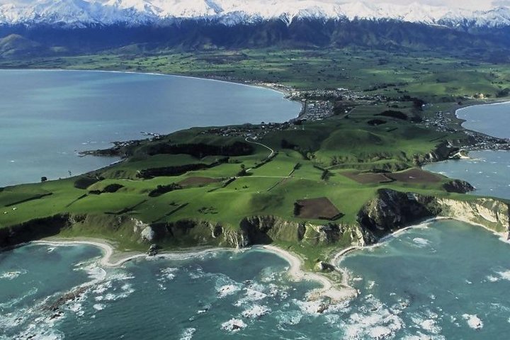 Kaikoura Swim with Dolphins Tour from Christchurch