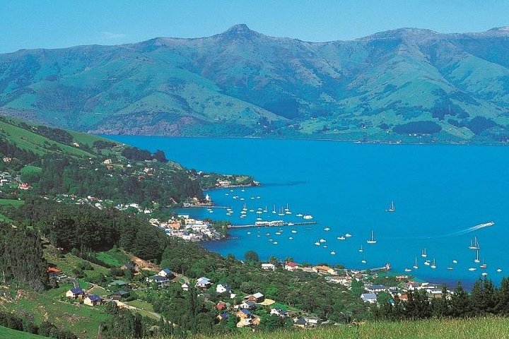 Akaroa Full Day Sightseeing Tour from Christchurch