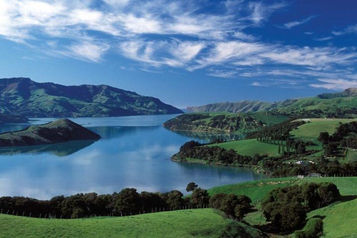 Akaroa Full Day Sightseeing Tour from Christchurch