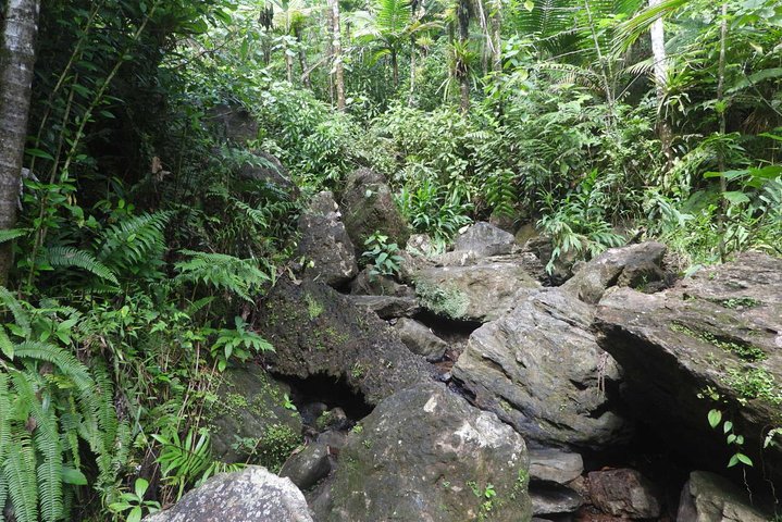 El Yunque National Forest and Luquillo Beach Tour