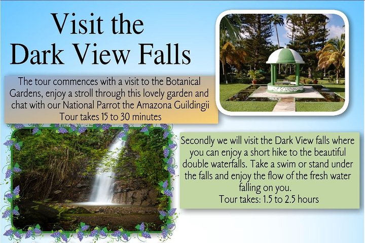 Dark View Falls Tour with Trubb Taxi Tours SVG