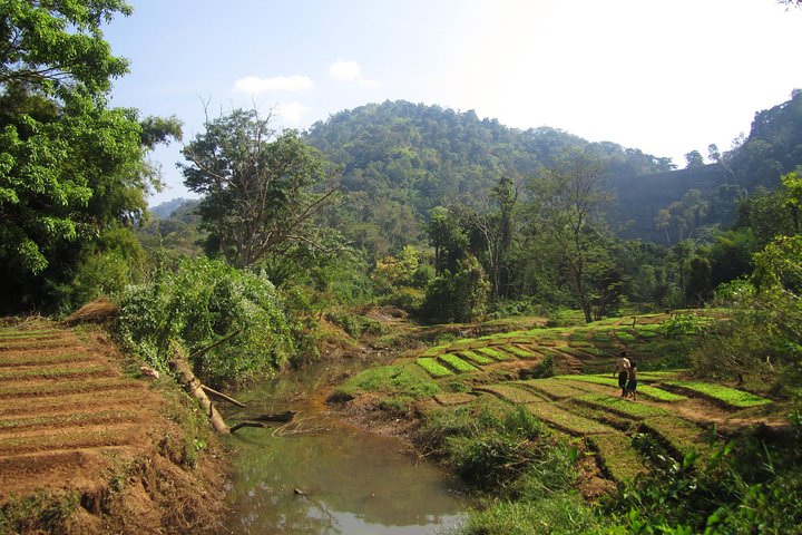 Full Day Crossing the Bolaven Plateau