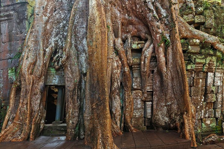 Angkor Wat Sunrise or Sunset Tour with Guide from Siem Reap