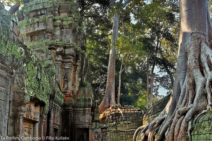 Angkor Wat Sunrise or Sunset Tour with Guide from Siem Reap
