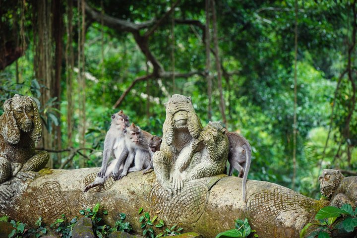Best of Ubud Attractions: Private All-Inclusive Tour