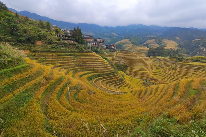 Yangshuo Xianggong Hill Sunrise and Longji Rice Terraces Private Day Tour